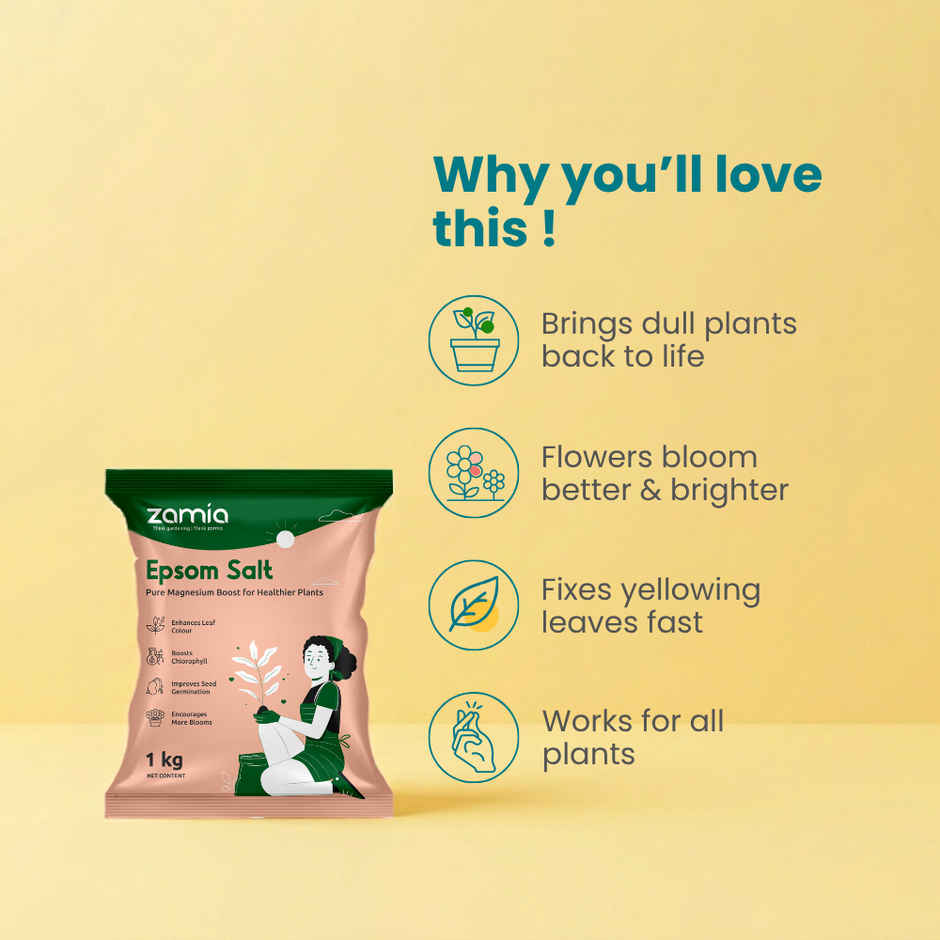 Zamia Epsom Salt | Magnesium Sulphate for Leaf Greening & Root Growth | By Nurturing Green