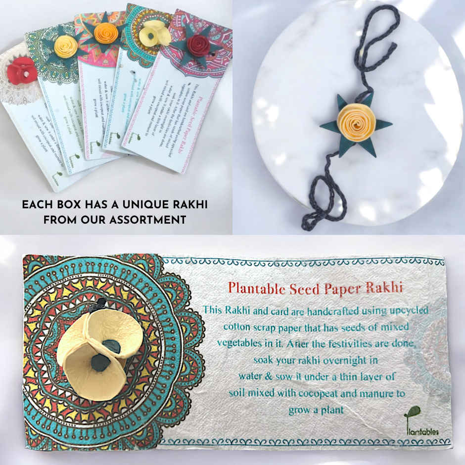 Nurturing Green Plants Gift Box