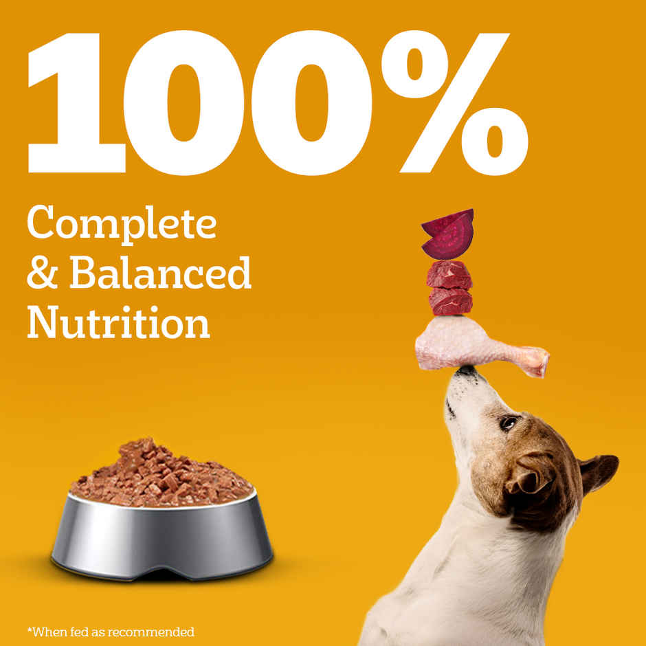 Pedigree Adult Roasted Lamb Flavour Chunks In Gravy Wet Dog Food