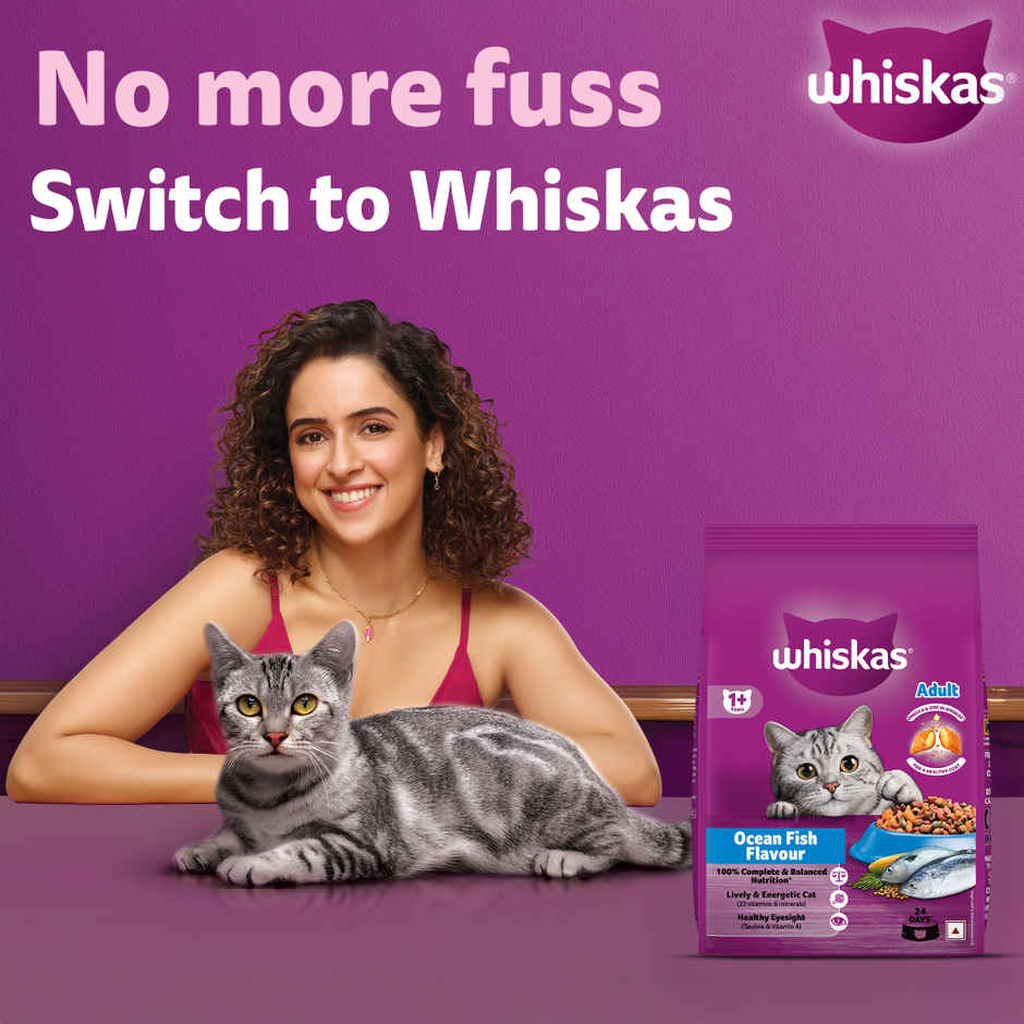 Whiskas Adult Dry Cat Food | 1+ Years | Ocean Fish