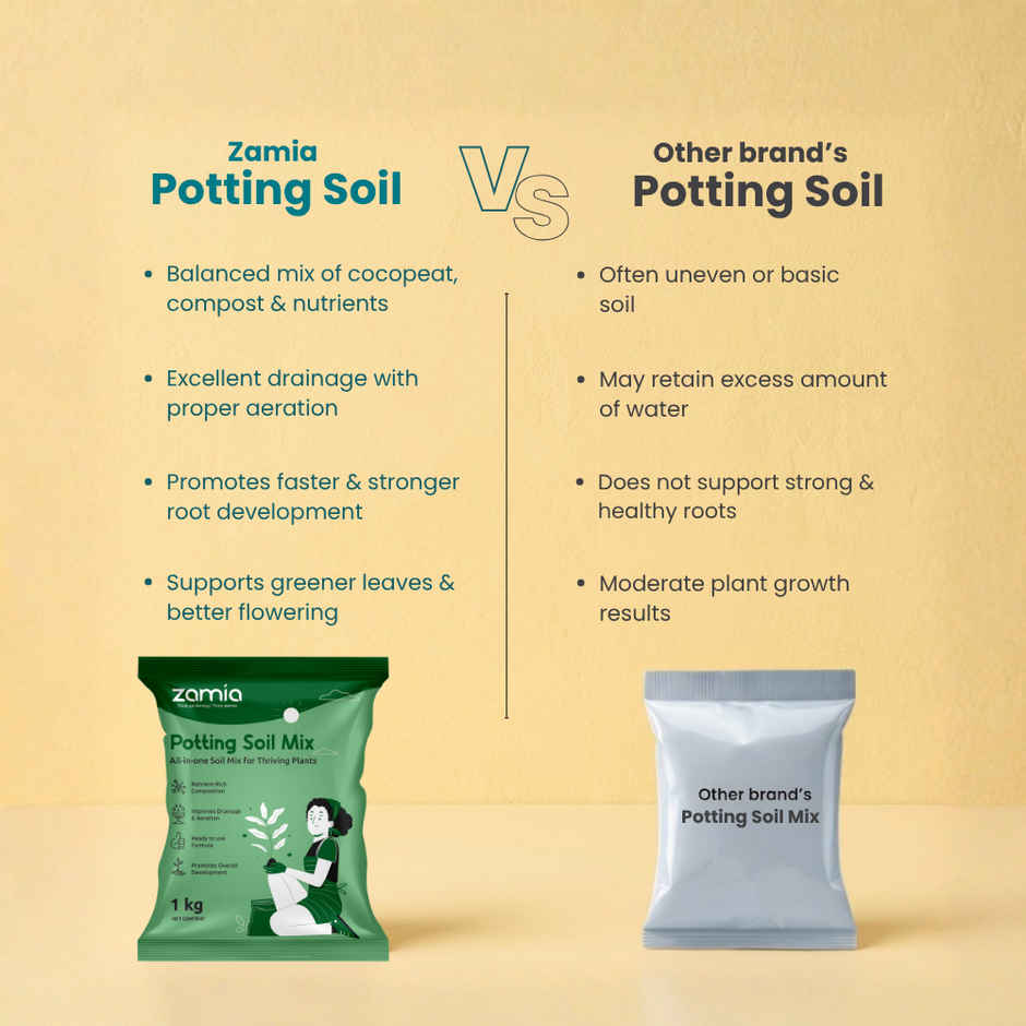 Zamia Potting Soil Mix | Organic Media for Seed, Plants & Vegetables | By Nurturing Green
