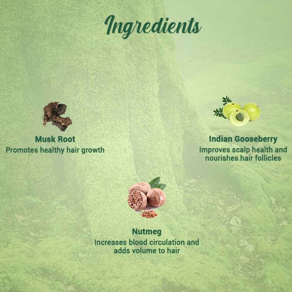 Biotique Musk Root Fresh Growth Repair & Regeneration Hair Pack