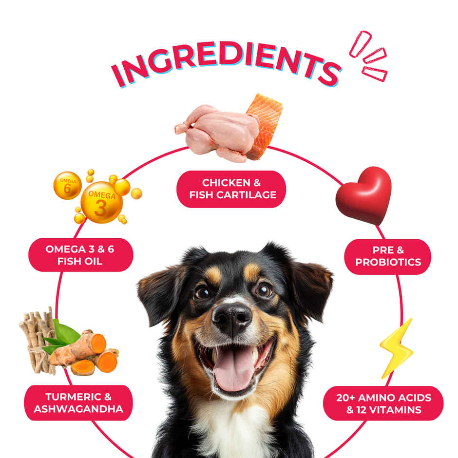 Yummytails Adult Dog Food Dry Kibble | 75% Chicken and Fish Protein Combo