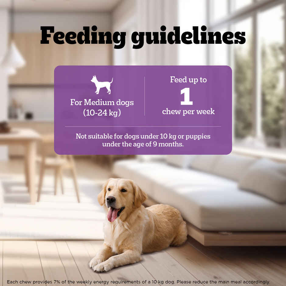 Pedigree Adult Jumbone Chicken & Lamb Flavours Dog Treats