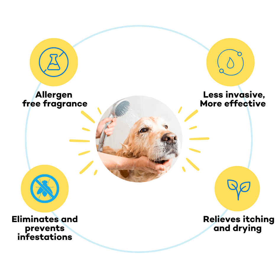 Good Paws Tick Tick Boop Flea And Tick Dog Shampoo Relieves Itching And Dryness