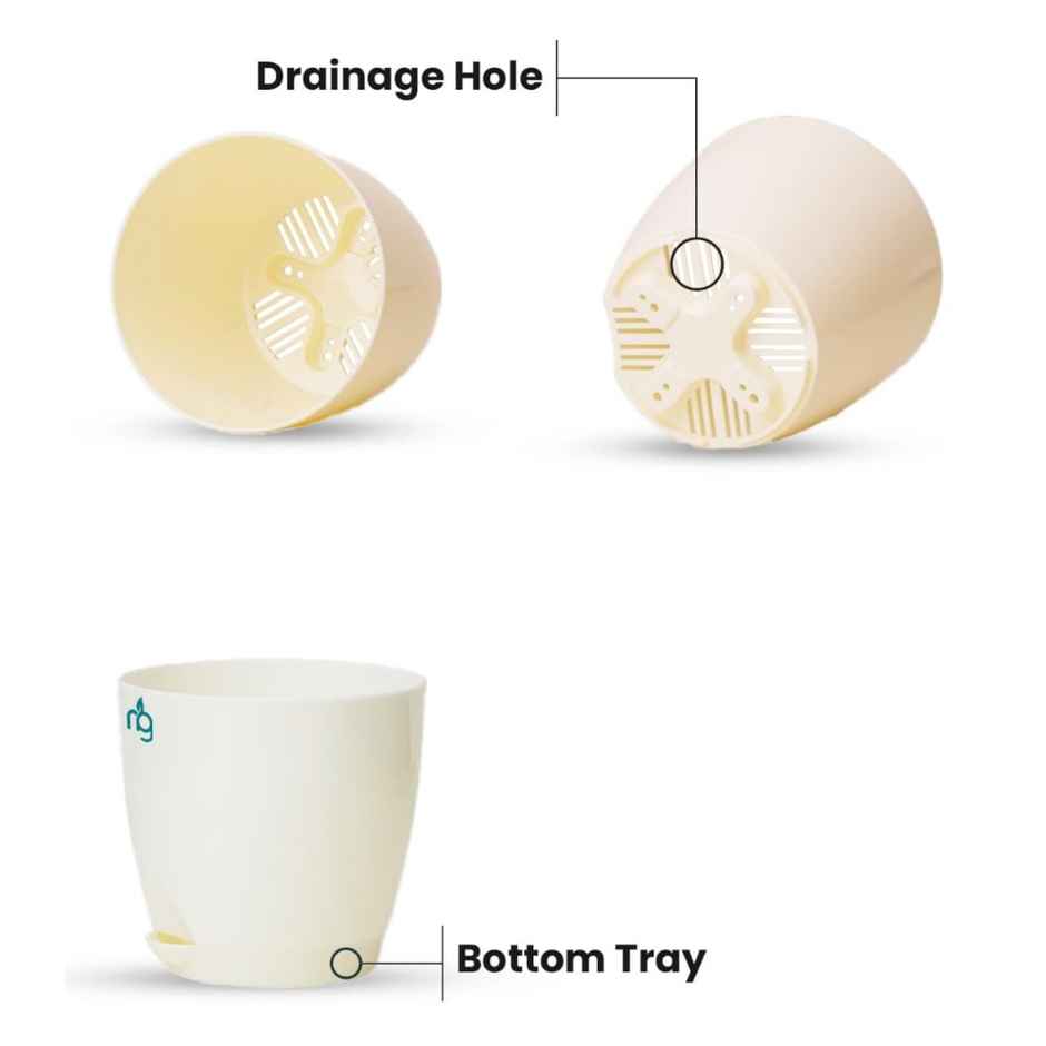 Nurturing Green - Self Watering Pots | Set of 4 | Assorted | Size: 11.5cm x 11cm