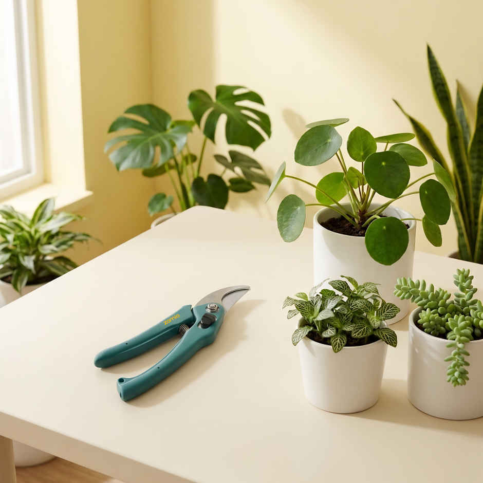 Zamia Garden Pruner | Sharp Bypass Blade | Rust-Resistant Stem Cutter | By Nurturing Green