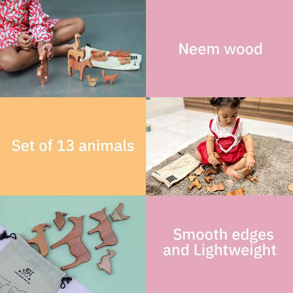 Ariro Toys Farm Animals (Set of 13)