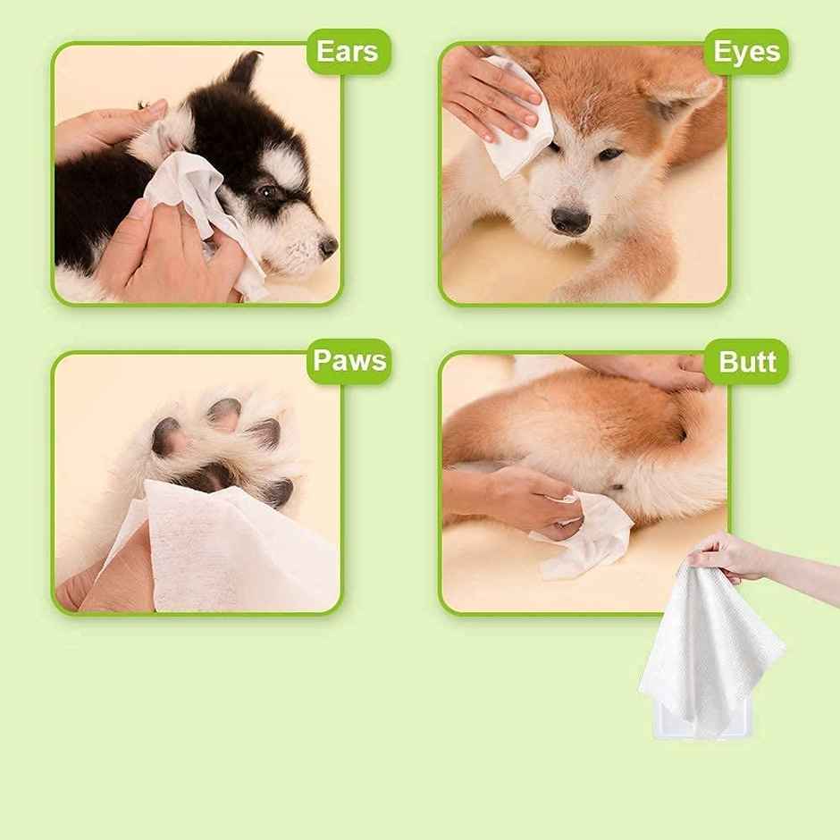 Pets Empire anti bacterial grooming wipes , Wet wipes for dogs , cats | 80 Pulls Per Pack