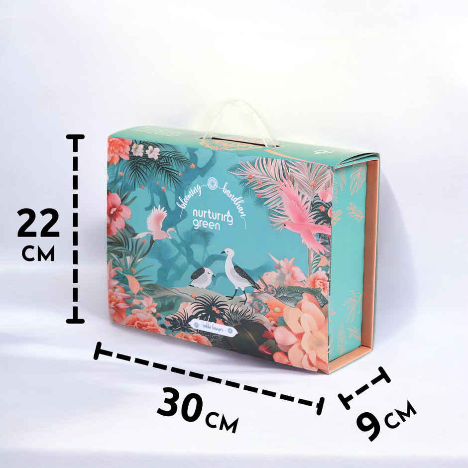 Nurturing Green Plants Gift Box