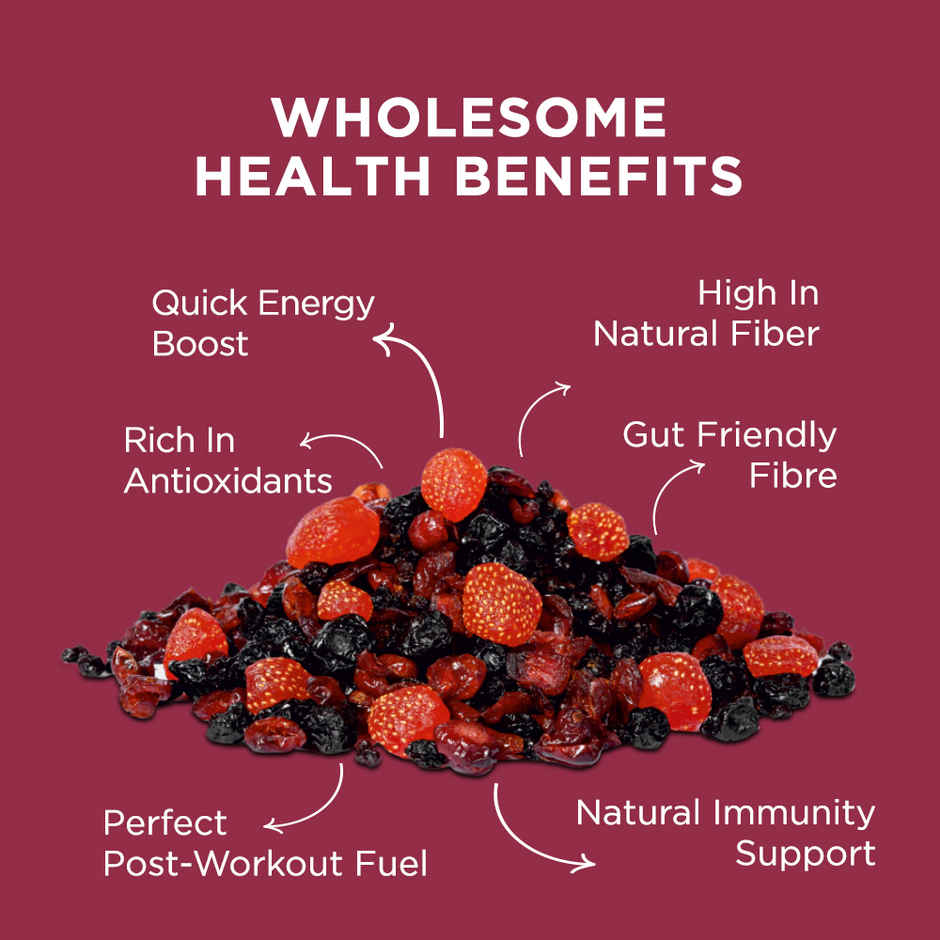 Nutty Gritties Premium Mix Berries - 4 In 1 Fibre-Rich Snack