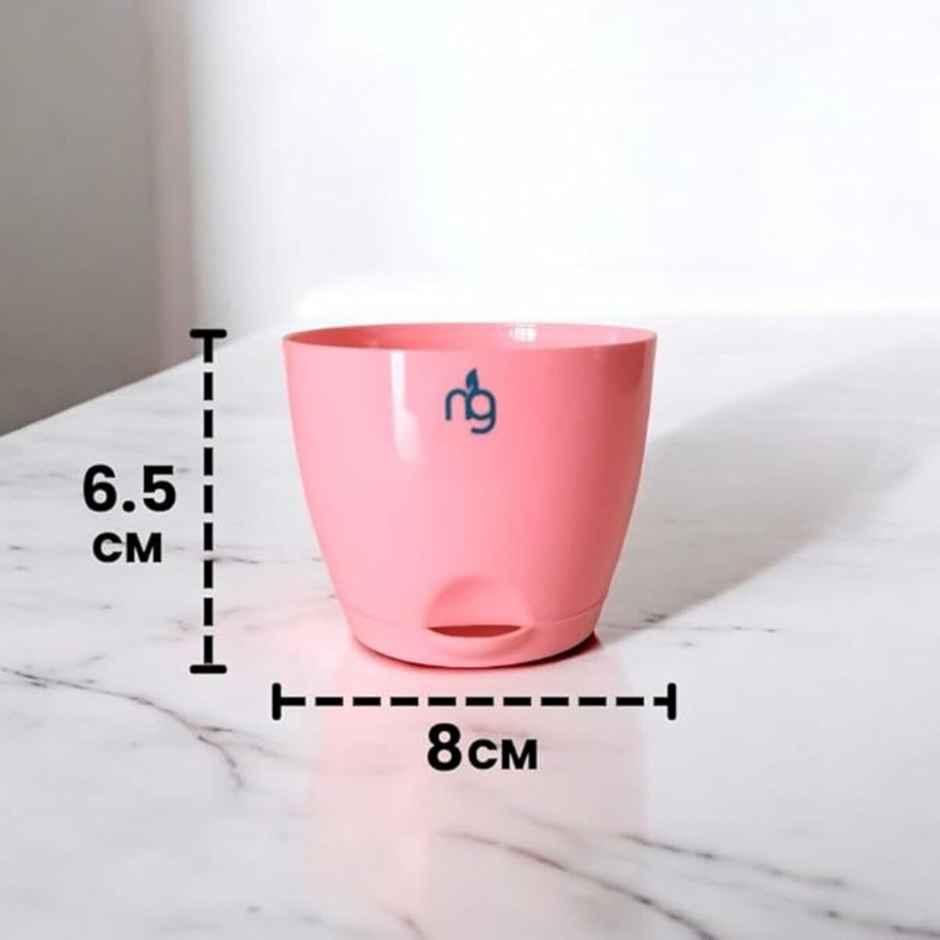 Nurturing Green - Self Watering Pots | Set of 5 | Peach | Size: 8cm x 6.5cm | Plastic Flower Pots