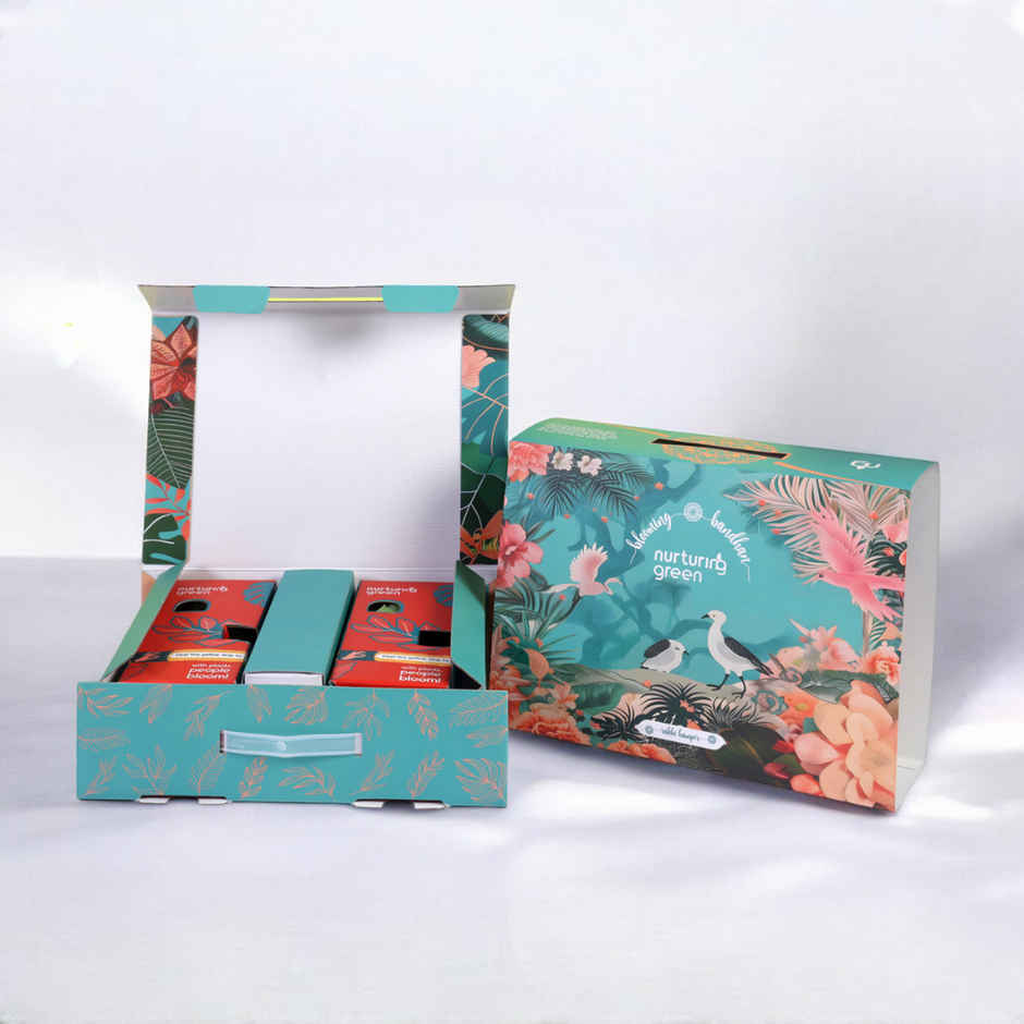 Nurturing Green Plants Gift Box