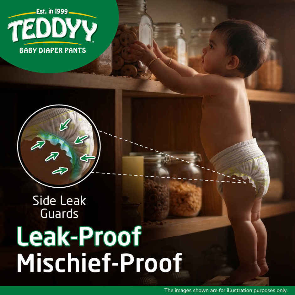 Teddyy Baby Pant Style Diaper | L | 62 pcs