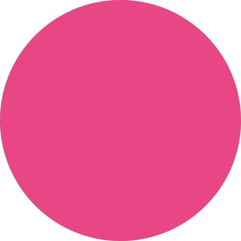 Renee Everstay Long Stay Matte Lipstick 05 Pink Aura