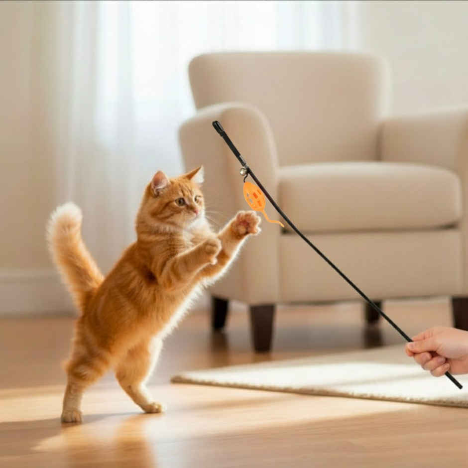 Super Pet Cat Playing Rod Mouse | Orange