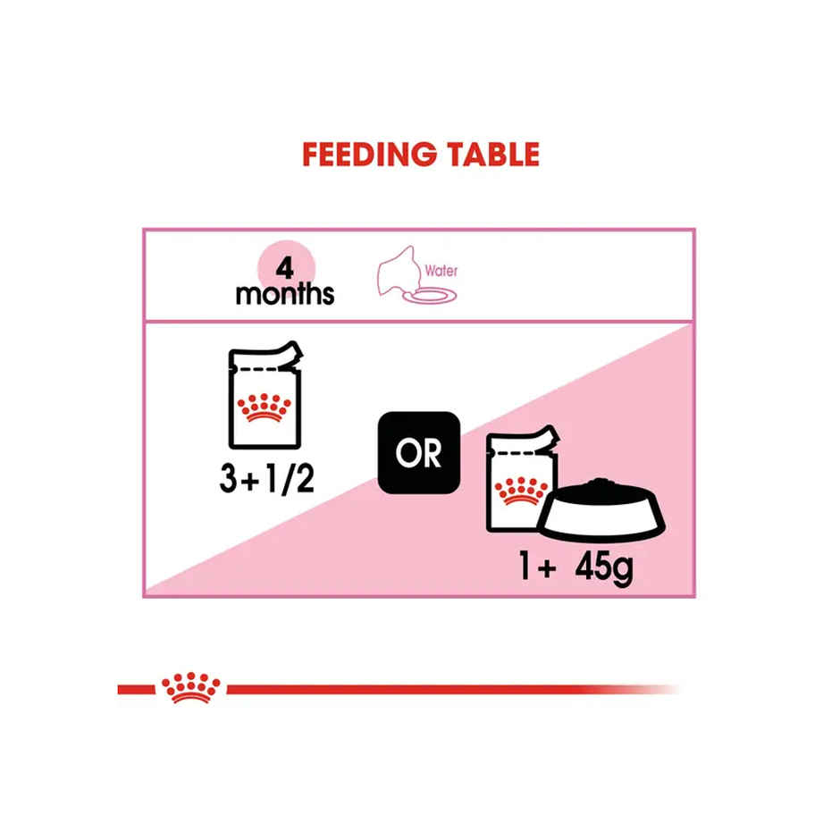 Royal Canin Kitten Cat Wet Food