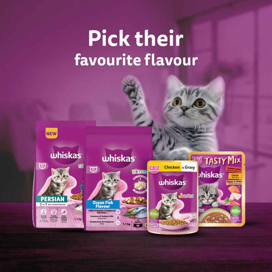 Whiskas Kitten Dry Cat Food | 2 to 12 Months | Ocean Fish