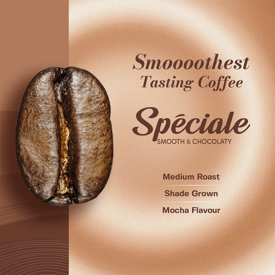 Continental Speciale Instant Coffee - Mocha | Jar
