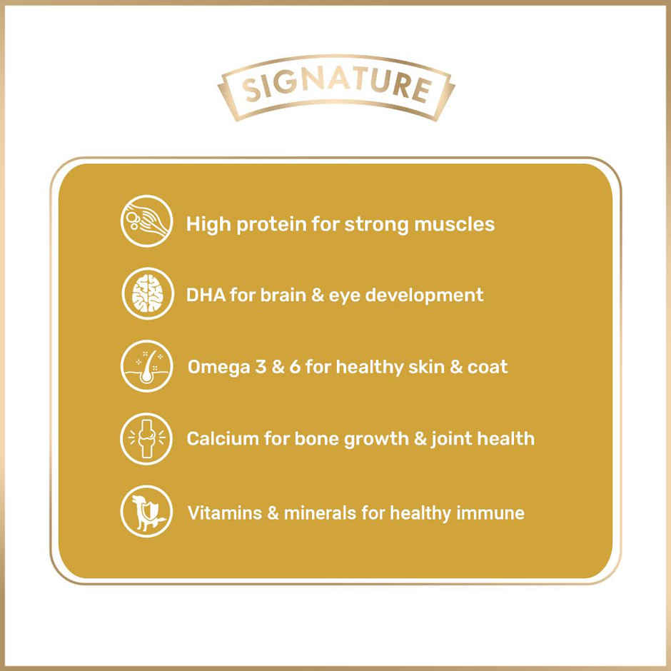 Grain Zero Adult Chicken Chunks Gravy Wet Dog Food (5 +1 Pouch Free)