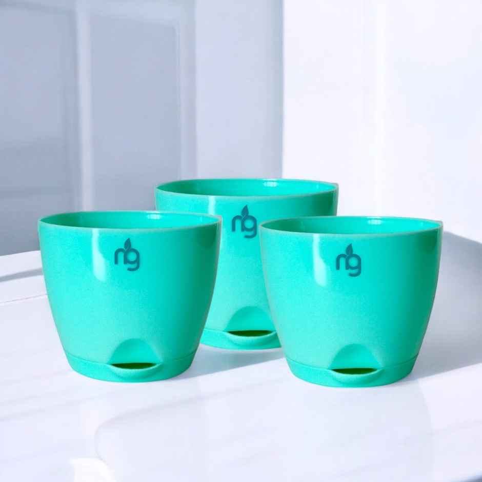 Nurturing Green - Self Watering Pots | Set of 3 | Sea Green | Size: 8cm x 6.5cm | Pots with Tray