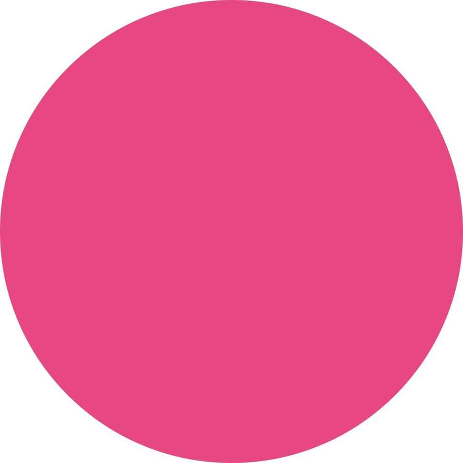 Renee Everstay Long Stay Matte Lipstick 05 Pink Aura