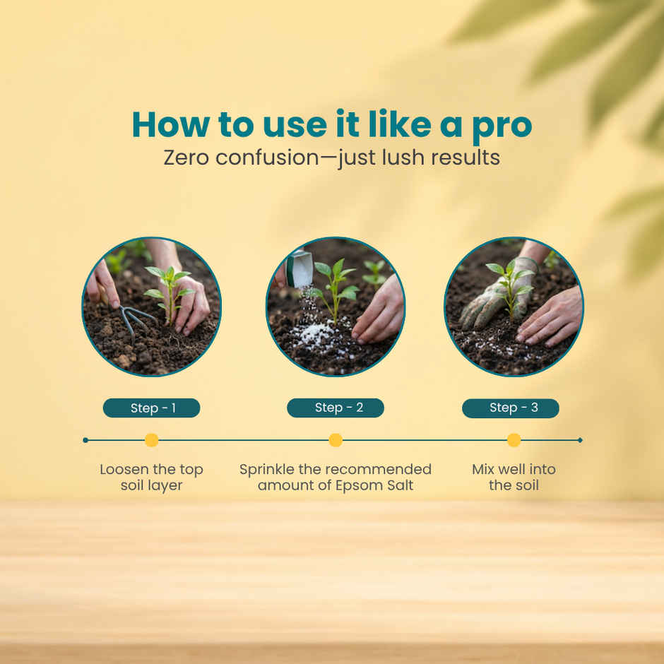 Zamia Epsom Salt | Magnesium Sulphate for Leaf Greening & Root Growth | By Nurturing Green