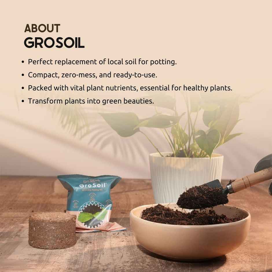 Nurturing Green - GroSoil | 115gm disc | All-in-One Potting Soil for Plants | Potting Soil Mix