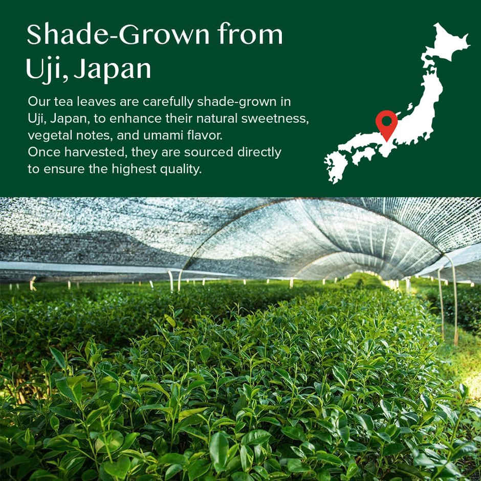 Vahdam Vanilla Matcha Green Tea Powder