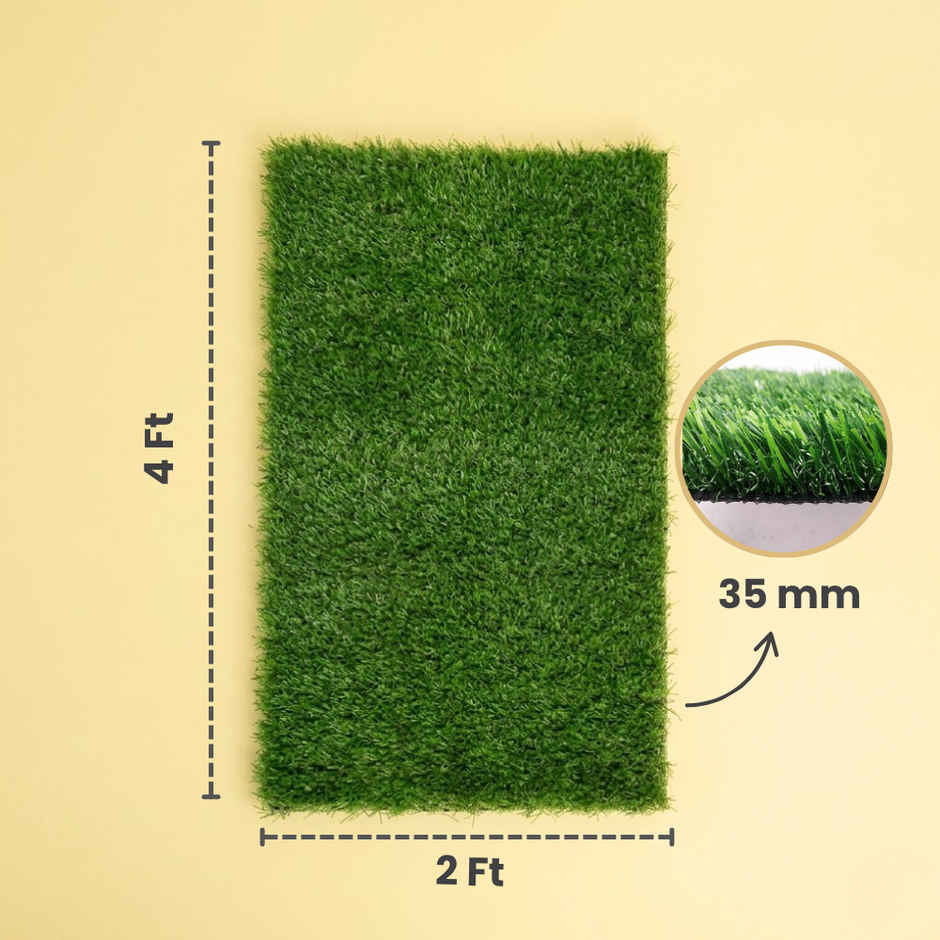 Zamia Artificial Grass | 35 mm Dual Layer Lawn & Balcony Mat | 2x4 ft | By Nurturing Green