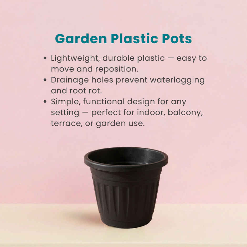 Zamia Plastic Garden Pot | 8 inch | Black | Pack of 1 | By Nurturing Green