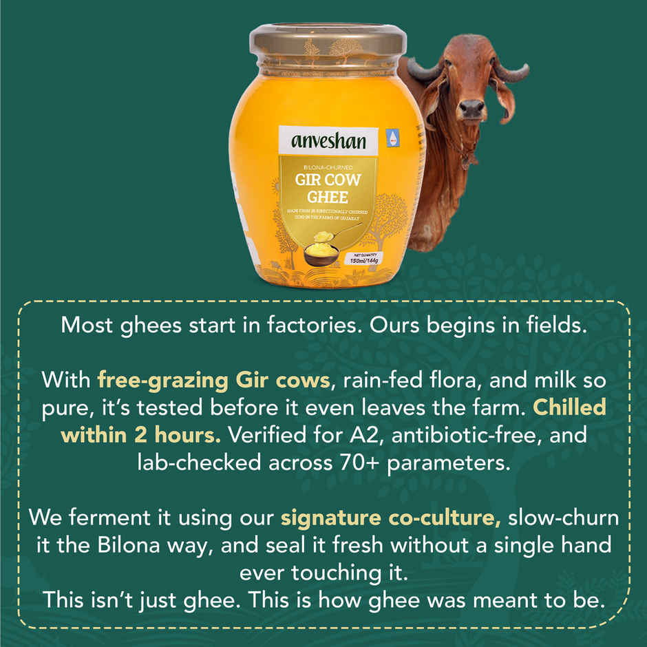 Anveshan A2 Gir Cow Ghee
