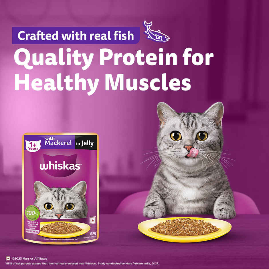 Whiskas Adult Wet Cat Food Mackerel in Jelly