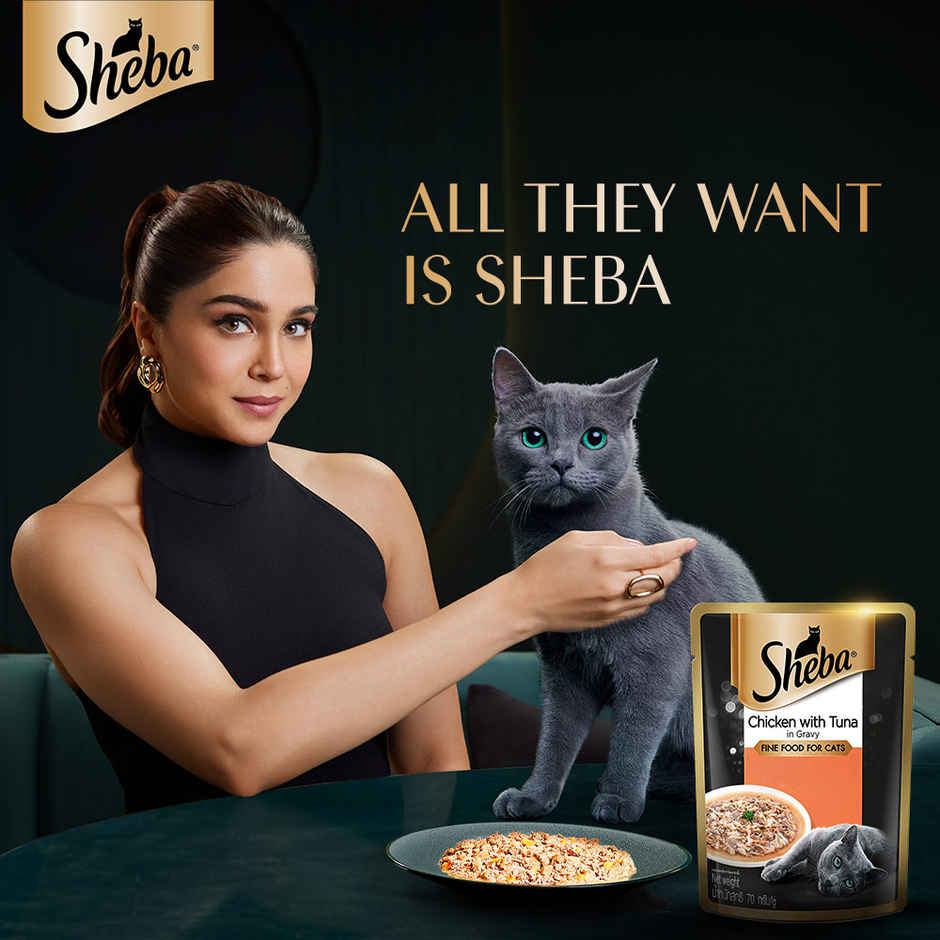 Sheba Fine Adult Chicken with Tuna in Gravy Wet Cat Food Combo
