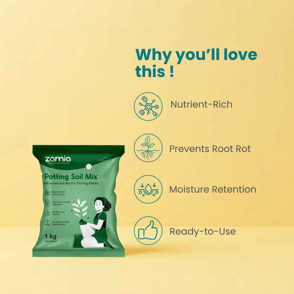 Zamia Potting Soil Mix | Organic Media for Seed, Plants & Vegetables | By Nurturing Green