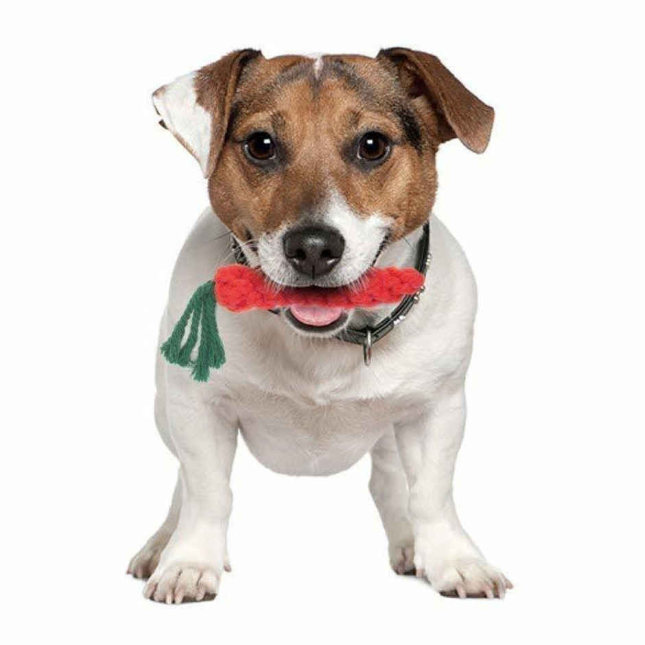 Super Pet Rope Carrot Chew Toy | Red & Black