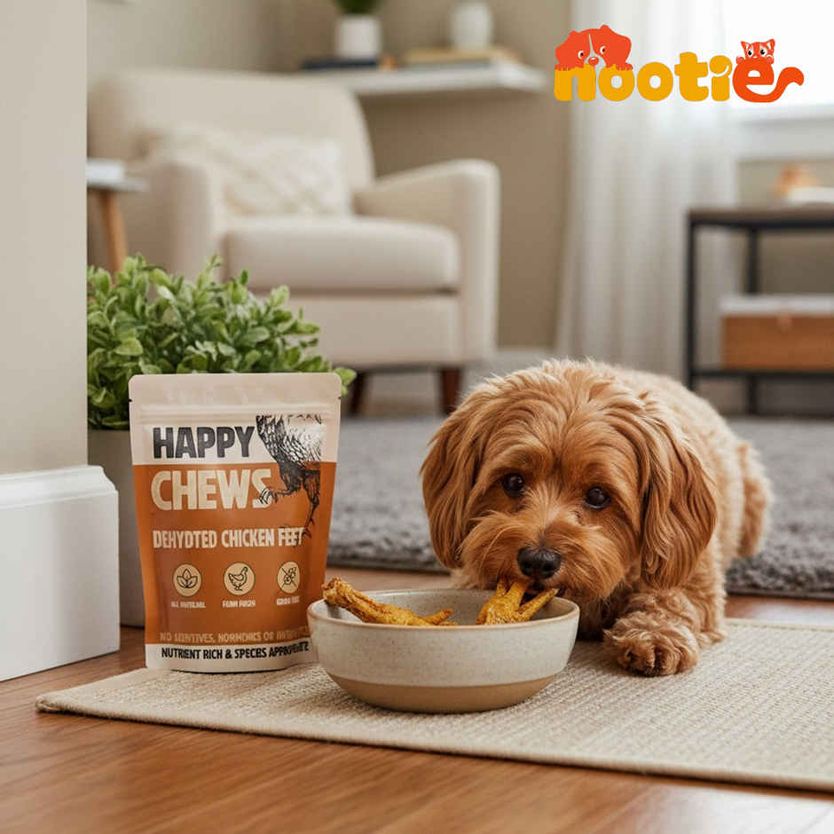 Nootie Dehydrated Chicken Feet Dog Treat | Crunchy Natural Dental Chews