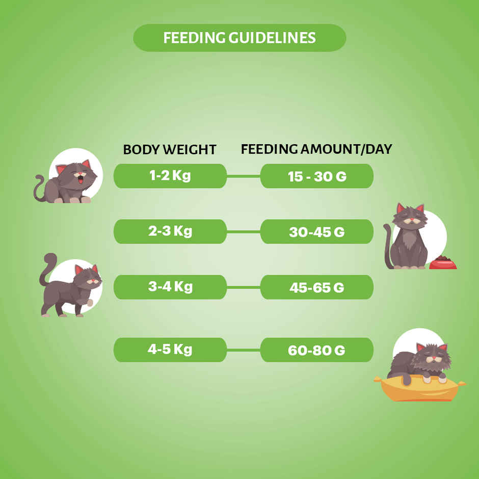 Grain Zero Chicken and Veg, Adult Dry Cat Food 1.2 kg + Free Cat Creamy Treat 75 g