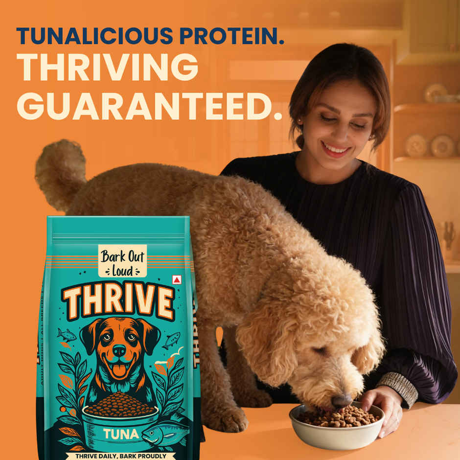 Bark Out Loud | THRIVE Dog Food Tuna Flavor Adult Dogs | All Breeds