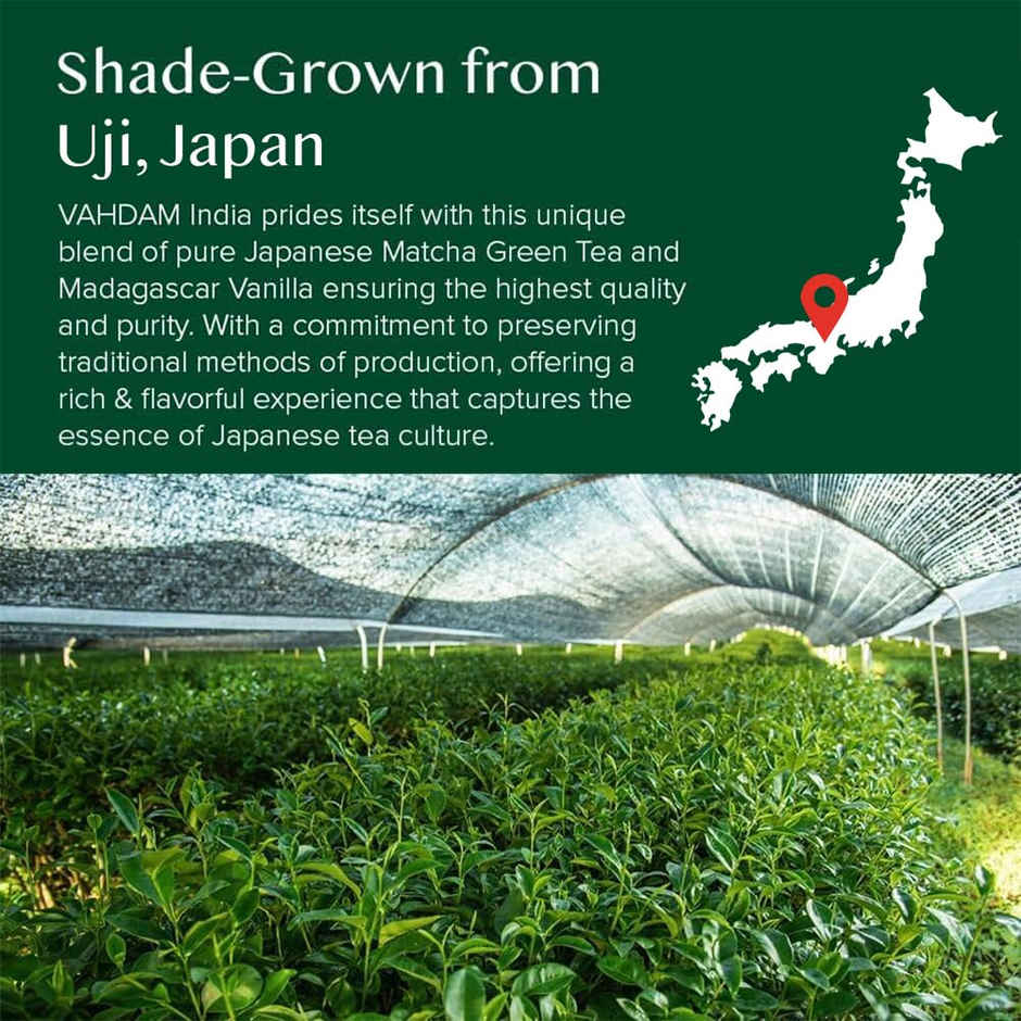 Vahdam Japanese Matcha Green Tea