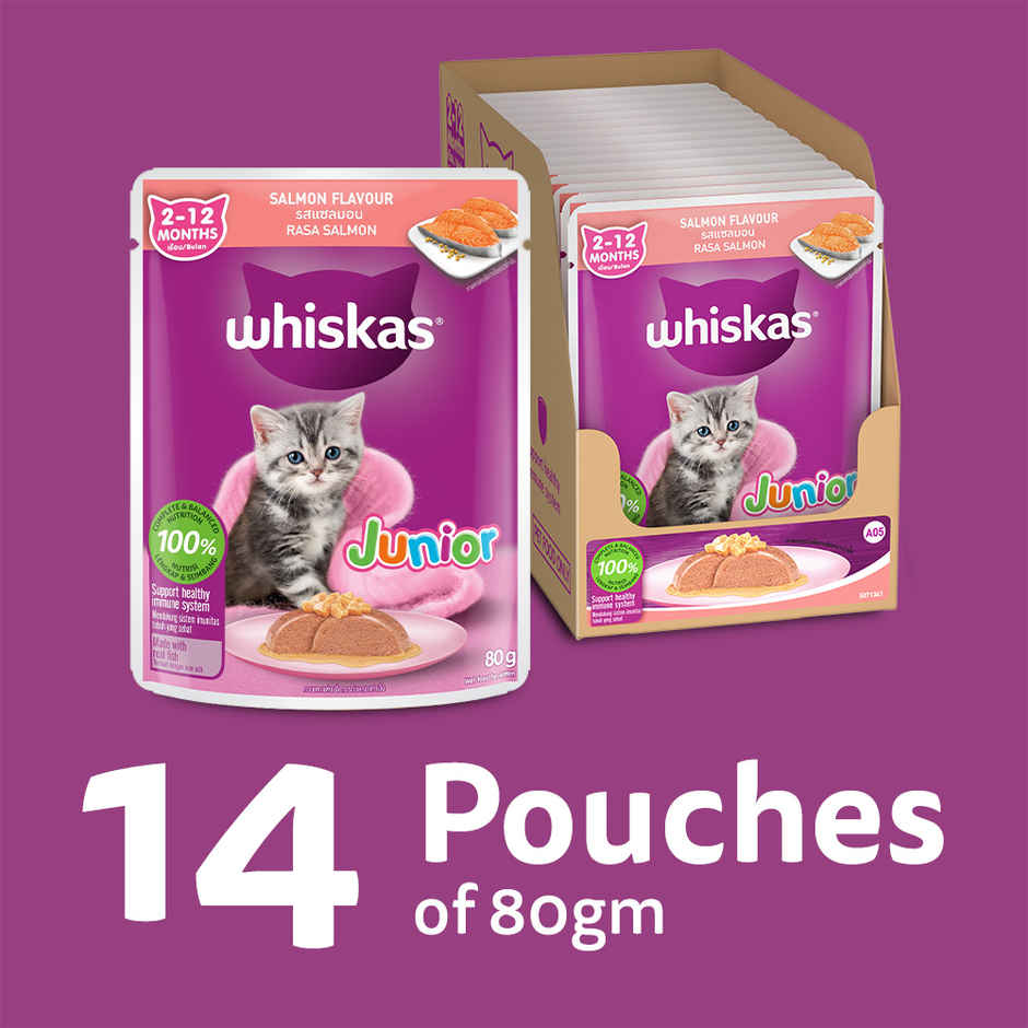 Whiskas Kitten Wet Cat Food Salmon in Jelly