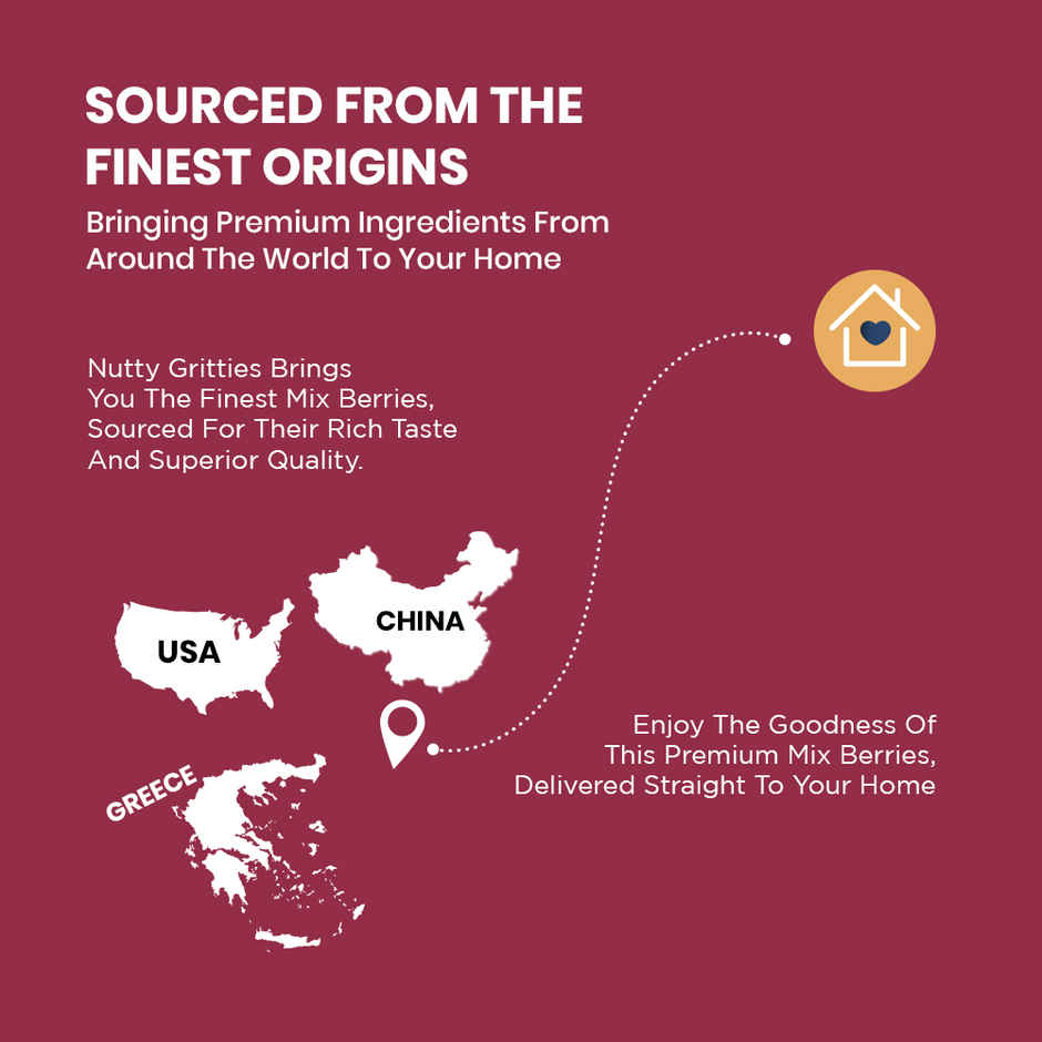 Nutty Gritties Premium Mix Berries - 4 in 1 Fibre-Rich Snack