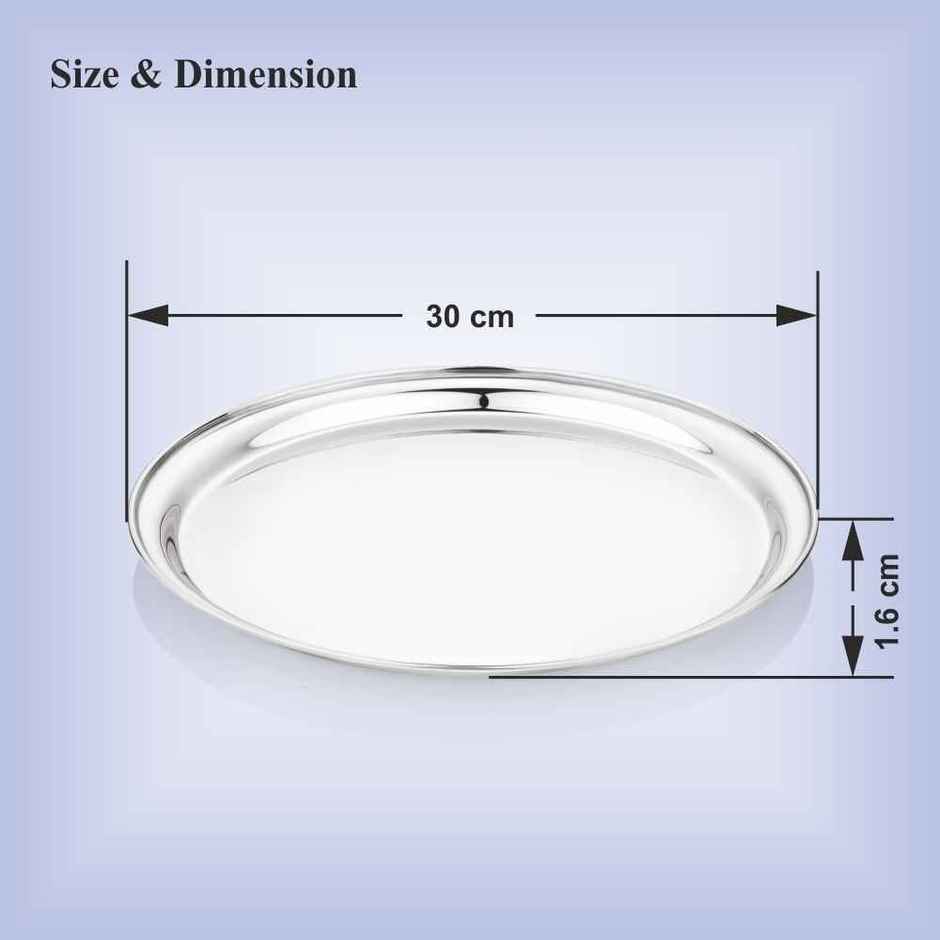 Steelera Stainless Steel RST Dinner Plate | Food Safe | 29.5 cm