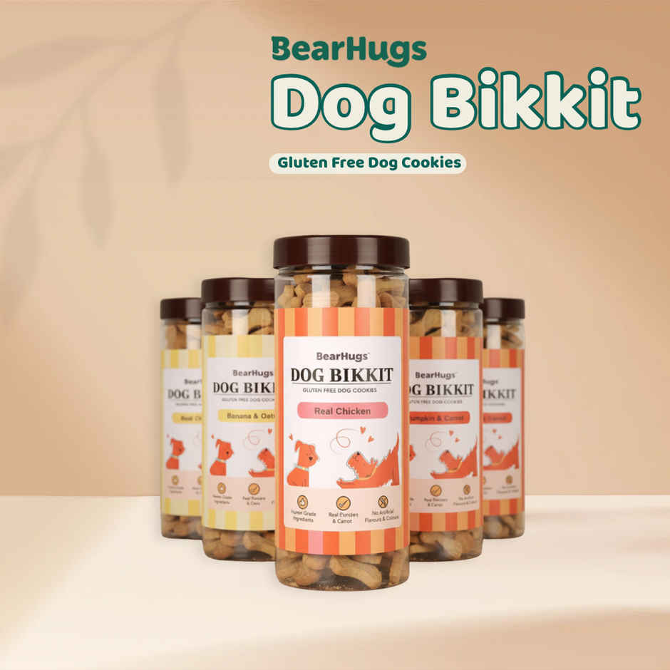 Bearhugs Dog Bikkit Chicken & Carrot Dog Cookies(Jar)