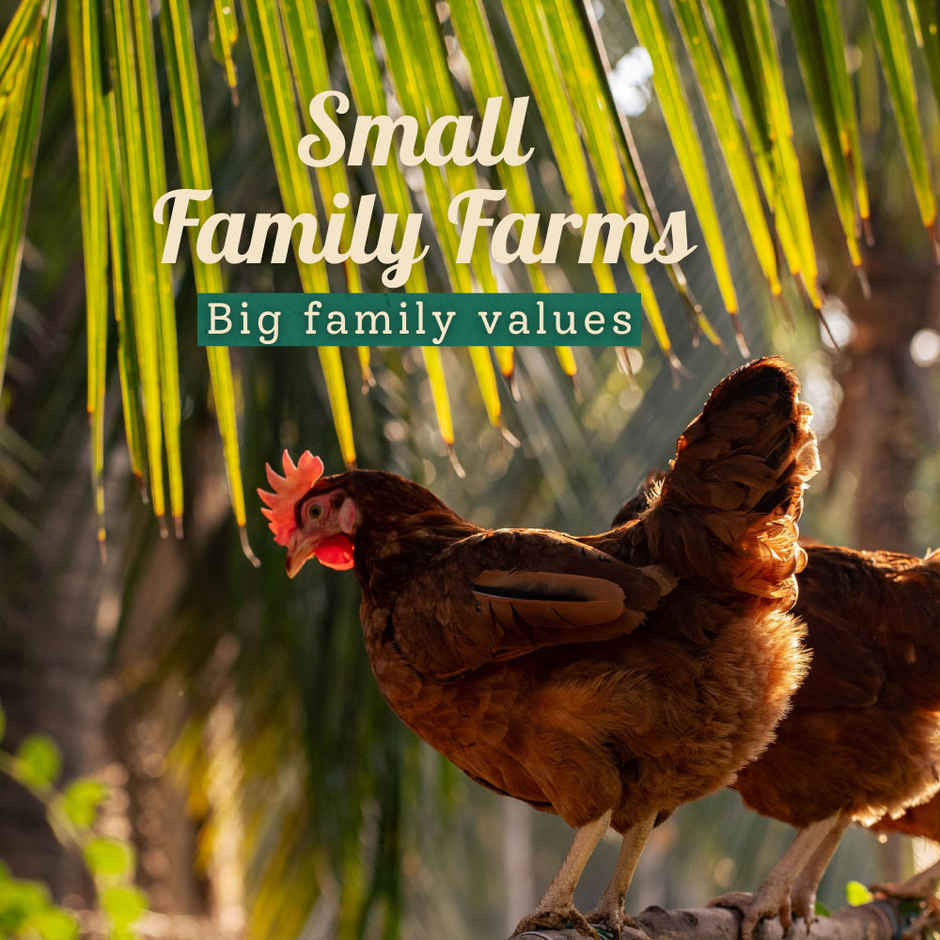 Farm Made Free Range Brown Eggs, 6 Pieces - Protein Rich, Veg Feed, Non-Fertile