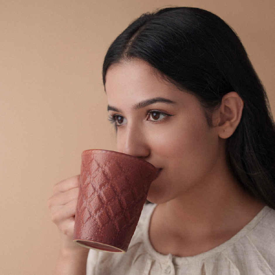 Borosil Porcelia Velvetto Terra Tea Coffee Porcelain Mug Set Microwave Dishwasher Safe