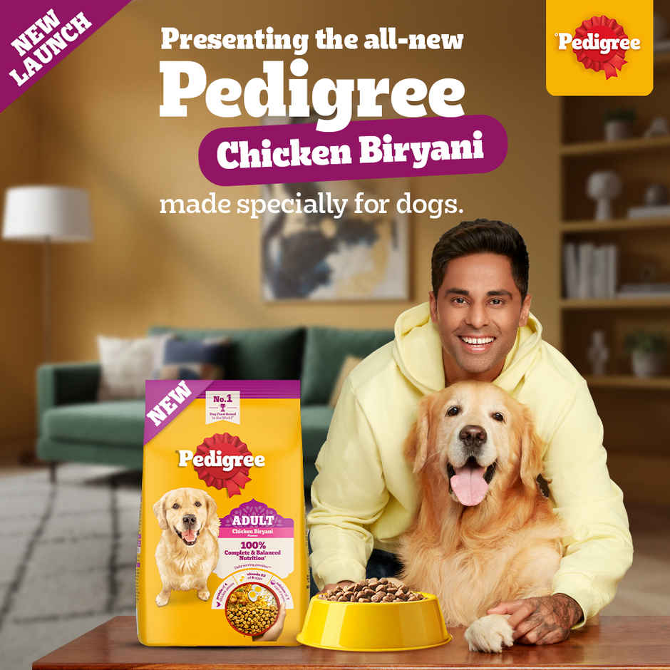 Pedigree Adult Dry Dog Food, New Chicken Biryani Flavour
