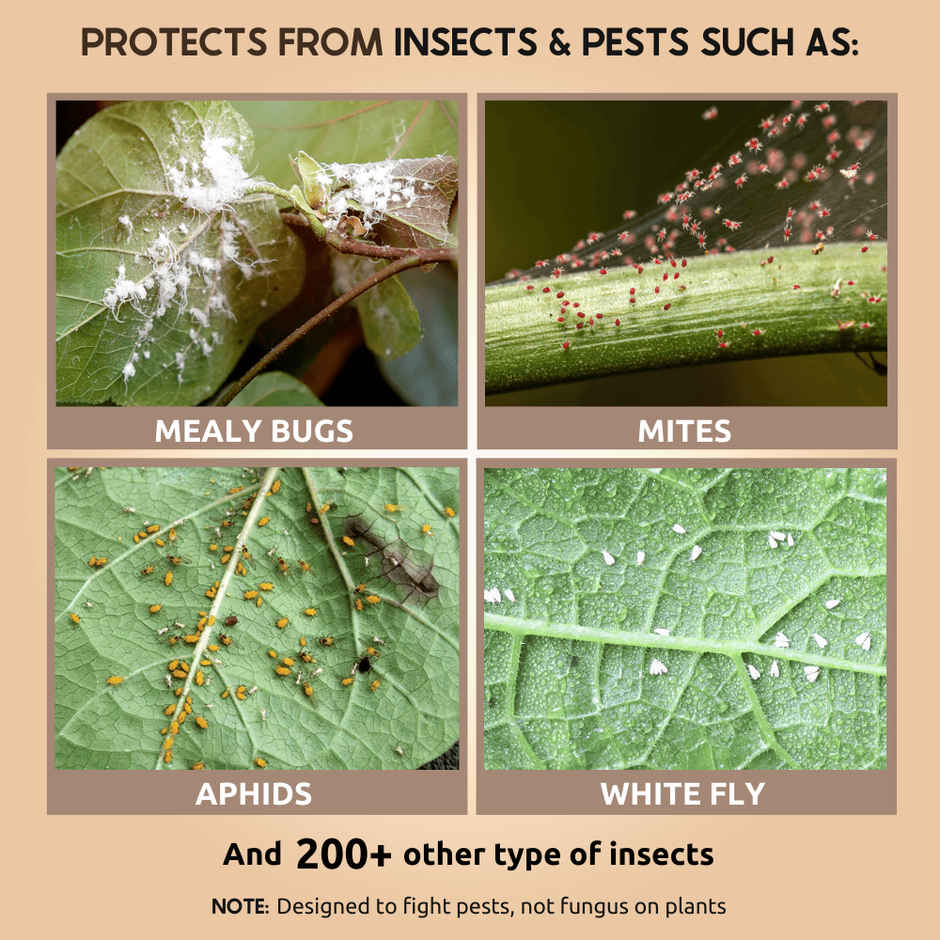 Nurturing Green Herbal Neem Spray | Organic Solution for Pests in Home & Balcony Plants