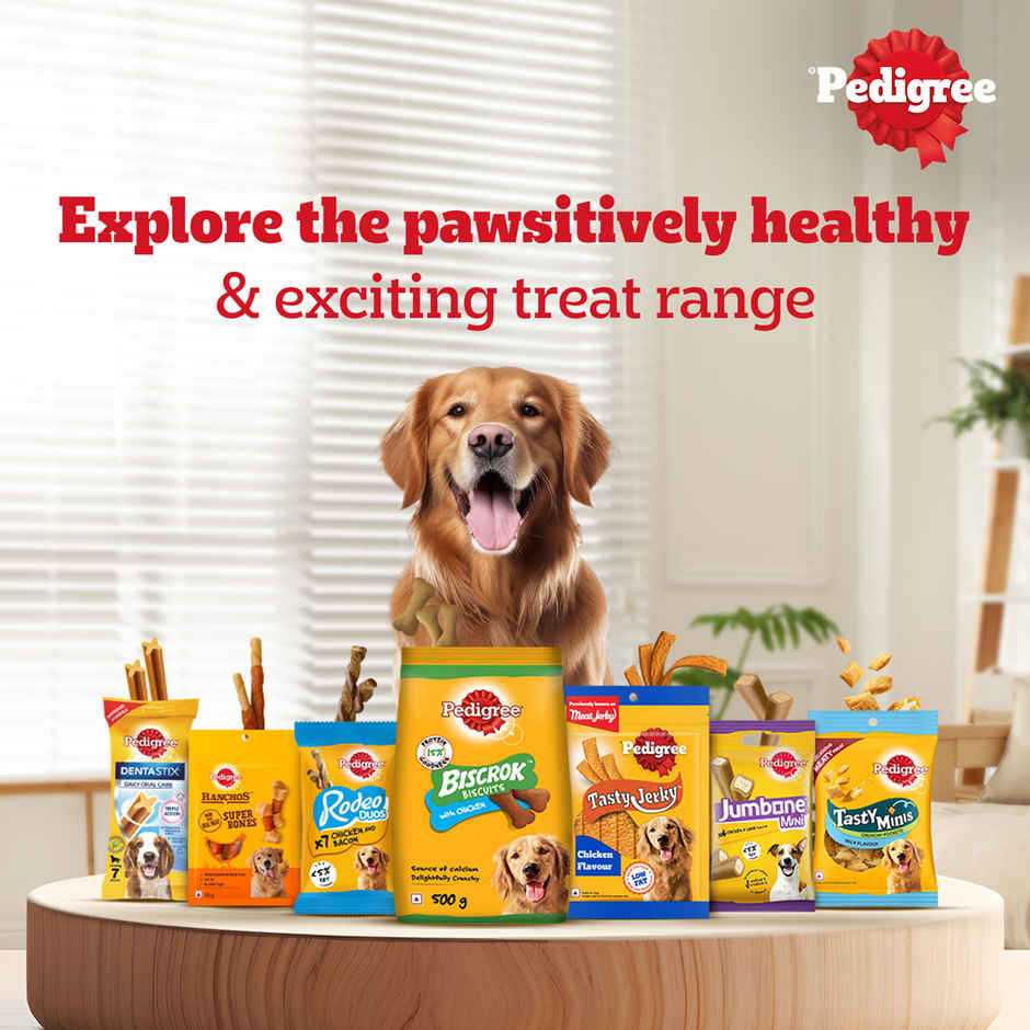 Pedigree Biscrok Milk & Chicken Flavour Dog Biscuits