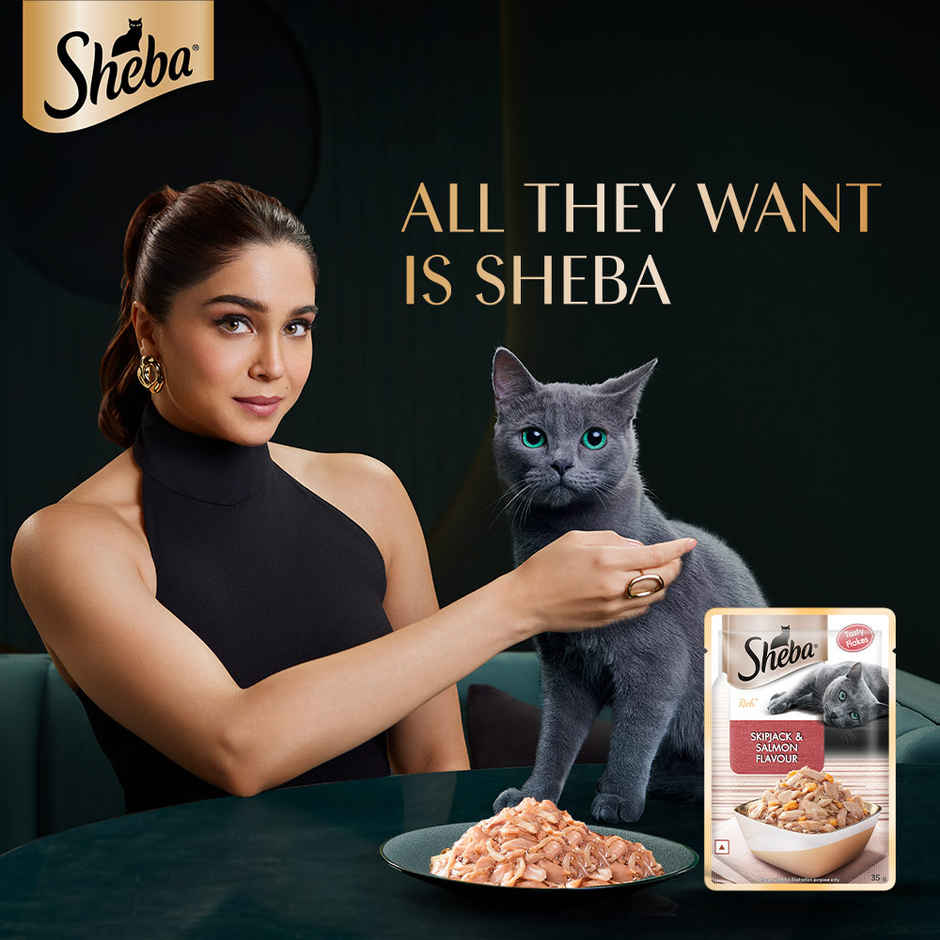 Sheba Rich Adult Skipjack & Salmon Flavour Wet Cat Food Combo  